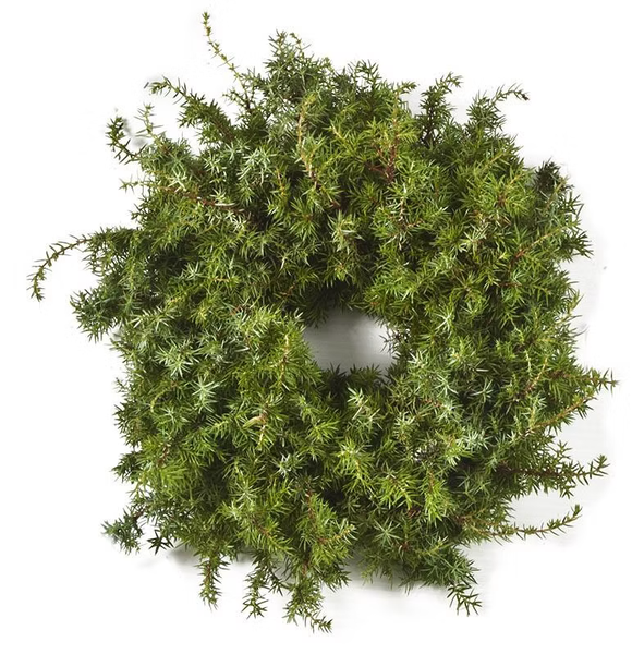 Katajakranssi, ⌀ 30cm