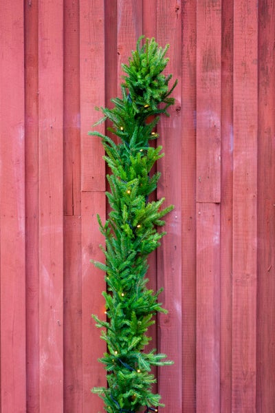 Kuusik&ouml;ynn&ouml;s