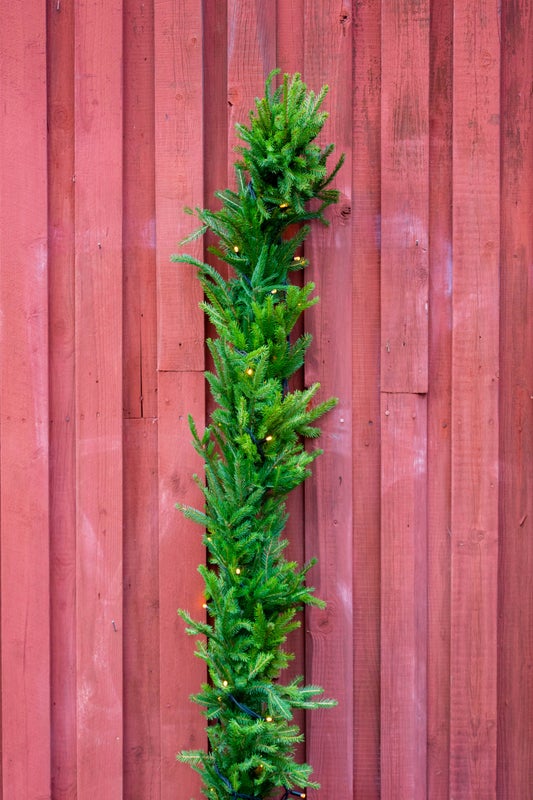 Kuusik&ouml;ynn&ouml;s